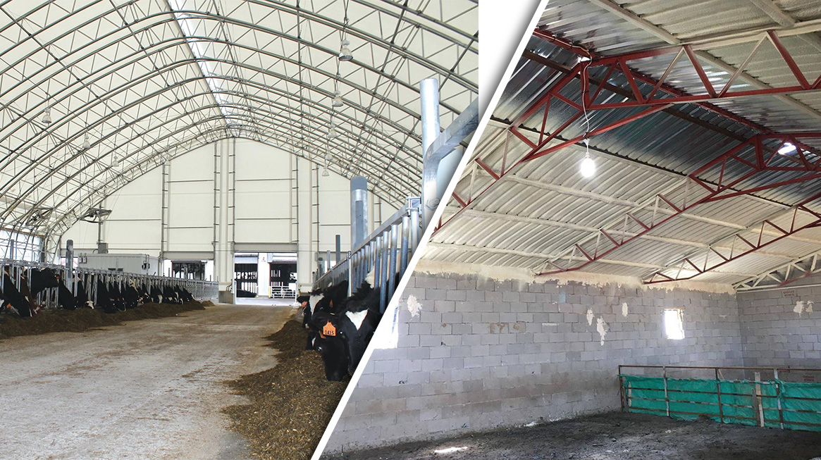 Spray Polyurethane Foam Insulation